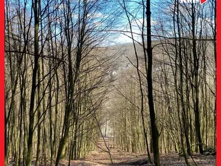 ❤️🌳 Fitness trifft Natur: die Wanderung‼️ - Instagram Bild 5
