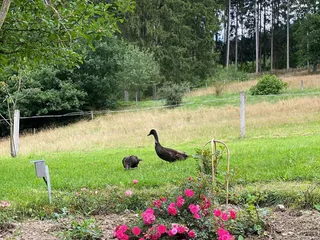 Heute hatten wir einen super Tag in Lennestadt! Morgen werde ich mehr darüber berichten ❤️ - Instagram Bild 4