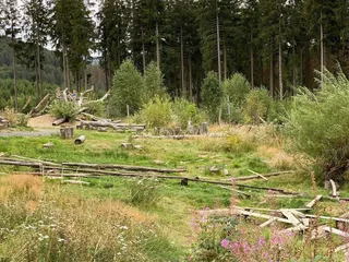 Heute sind wir am Rothaasteig, in der @Wisentwelt und haben viel Spaß! ❤️ - Instagram Bild 10