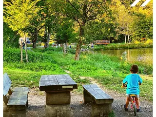 Buenos dias! Tja!😅 Am Ende sind wir gestern nicht nach Wissen gefahren, weil die Kinder lieber zum Freibad wollten. - Instagram Bild 4