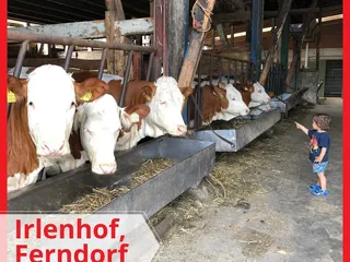 Wir lieben Bauernhöfe und unsere Favoriten in der nähe sind @hofladen_irlenhof und @birkenhofsiegerland. - Instagram Bild 1