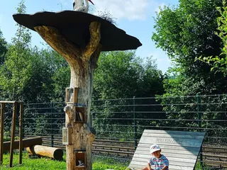 Und wenn wir schon in Deuz sind, ist ein Stopp im Bühlgarten ein Muss! 💫 - Instagram Bild 5