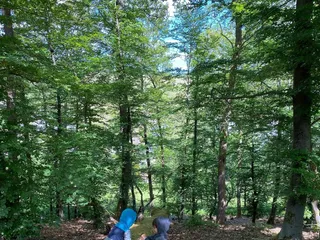 Oh Liebe Sonne & Natur, danke, dass du da bist! ☀❤ - Instagram Bild 1
