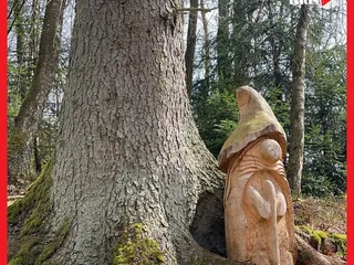 ☀️Heute sind wir ein Stück den Quellenweg entlang gelaufen und haben uns die Holzskulpturen angeschaut! 🤩 - Instagram Bild 6