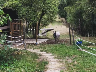 ☀️ Heute ist ein schöner Tag um einen Bauernhof zu besuchen! 🐄🐓 - Instagram Bild 1