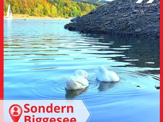 Si! Heute waren wir an der Bigge in Sondern, und hatten einen richtig schönen Tag! ☀️ - Instagram Bild 1