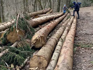 Heute waren wir in Eiserfeld unterwegs! Wir besuchten den Osterhasen Baum vom AWO Kindergarten Birkenweg. - Instagram Bild 9