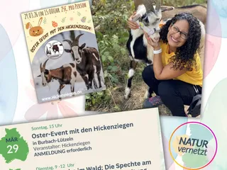 Die Osterferien stehen vor der Tür und es gibt so viele schöne Ideen, um die Zeit gemeinsam zu gestalten 🐣❤️ - Instagram Bild 7