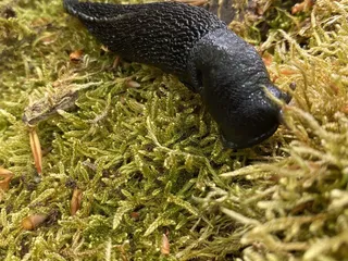 Spielerisch die Natur entdecken: Raus an die Frische Luft! - Instagram Bild 3