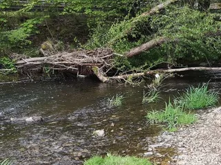 Also... Heute wollten wir trotz des Regens diesem tollen Tipp in Dreis-Tiefenbach folgen, auch super kombinierbar mit dem Ball & Bike.... Aber einer der Zwillinge hat sooolche Wutanfälle gehabt, dass wir dann leider ohne Abenteuer nach Hause fahren mussten! 😭 - Instagram Bild 3