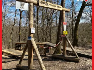 ❤️🌳 Fitness trifft Natur: die Wanderung‼️ - Instagram Bild 6