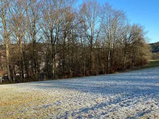 Oh Liebe Sonne, danke, dass du da bist! ☀ - Instagram Bild 2