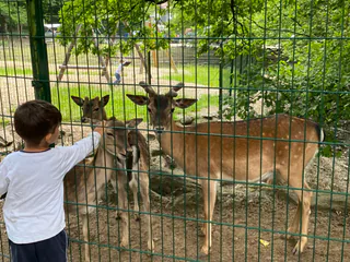 SiegenMitKids Medienbild