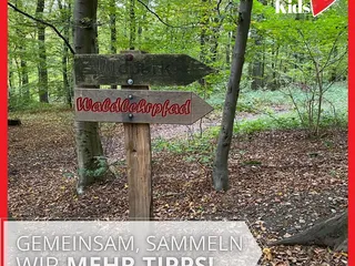 Gestern waren wir mit Andrea von @Freizeittippsnrw und ihren süßen Kids in Wiehl und haben die Wiehler Steinhöhle, den Waldlehrpfad und den Tierpark besucht. 💫 - Instagram Bild 10
