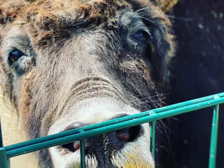 Heute is so ein schöner Tag! @gertrudenhof ❤️ - Instagram Bild 2