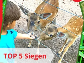 📌Wenn dich jemand, der noch nie in Siegen war, fragen würde, was es in Siegen zu sehen gibt, was würdest du antworten? - Instagram Bild 1