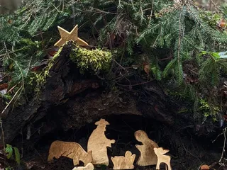 🎄🎅🏼Wir haben so viel schönes über den Weihnachtsweg in Bürbach gehört und dann diese tolle Bilder von @meinherztraegtkrone bekommen, weil wir leider selber momentan den Weg nicht wandern können (Vielen lieben Dank dafür ❤️). - Instagram Bild 3