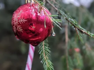 🎄🎅🏼Wir haben so viel schönes über den Weihnachtsweg in Bürbach gehört und dann diese tolle Bilder von @meinherztraegtkrone bekommen, weil wir leider selber momentan den Weg nicht wandern können (Vielen lieben Dank dafür ❤️). - Instagram Bild 6