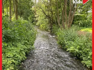 Es ist immer sooooo schön hier! - Instagram Bild 7