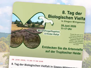 Diese Woche ist auch was los! ☀️🥵 - Instagram Bild 6