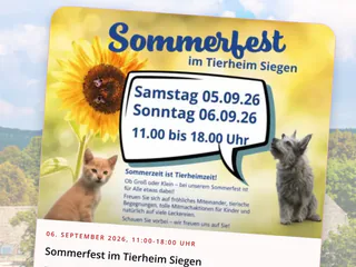 Back to School! Ich hoffe, die Kids haben einen schönen Schulstart! Am WE ist jede Menge los! - Instagram Bild 7