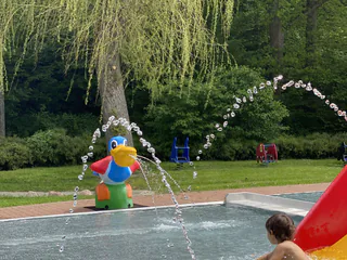 SiegenMitKids Medienbild