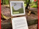 Gestern haben wir wieder den Erlebniswald Historischer Tiergarten besucht. Da ist er, schön wie immer! - Instagram Bild 6