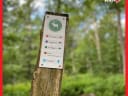Gestern haben wir wieder den Erlebniswald Historischer Tiergarten besucht. Da ist er, schön wie immer! - Instagram Bild 2