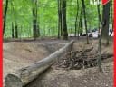 Gestern haben wir wieder den Erlebniswald Historischer Tiergarten besucht. Da ist er, schön wie immer! - Instagram Bild 3