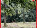 Gestern haben wir wieder den Erlebniswald Historischer Tiergarten besucht. Da ist er, schön wie immer! - Instagram Bild 8